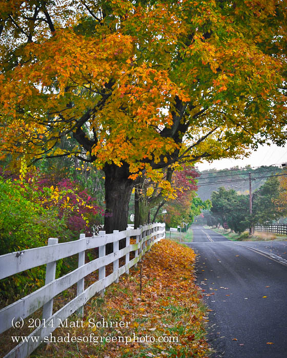 Fall Foliage in Bucks County Words and Photographs