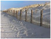 Dunes with fence shadows