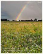 Rainbow over Bucks County